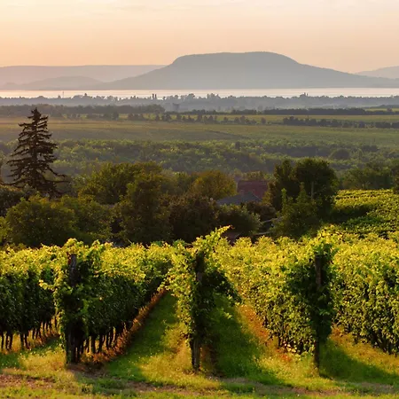 In - Balaton 19491 Hébergement de vacances