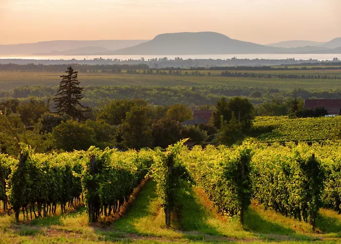 In - Balaton 19491 Hébergement de vacances